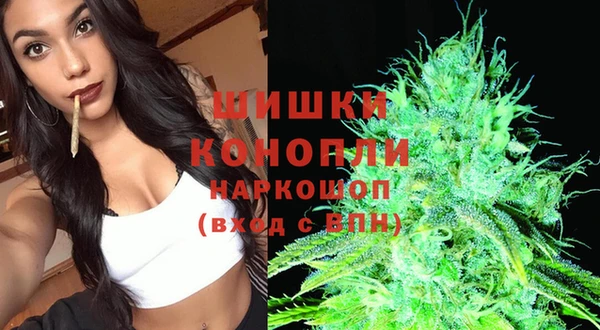 трава Богородицк