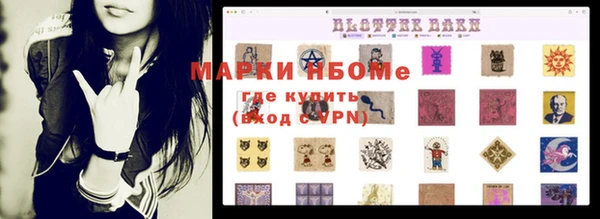 прущий лед Богданович