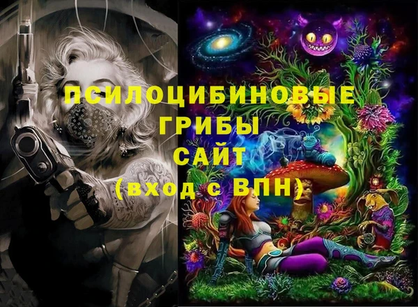 прущий лед Богданович