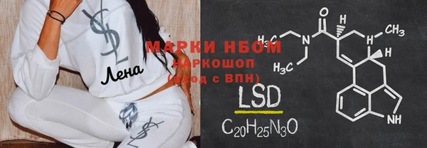 прущий лед Богданович