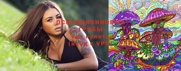 трава Богородицк