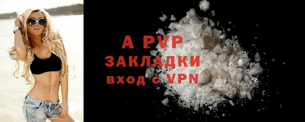 прущий лед Богданович