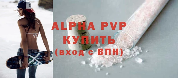 прущий лед Богданович