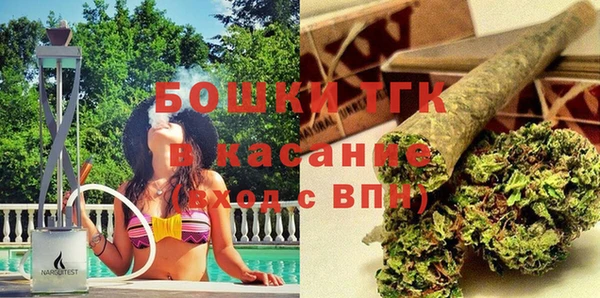 прущий лед Богданович