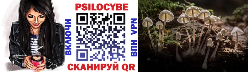 закладки  даркнет формула  Псилоцибиновые грибы ЛСД  Конаково 